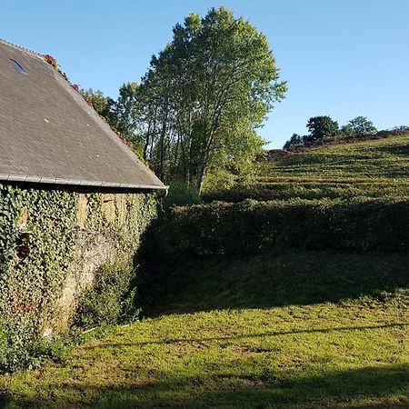 La Puisatiere Apartment Saint-Pierre-d'Artheglise Luaran gambar